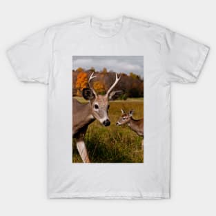 Deer - Photo Bomb T-Shirt